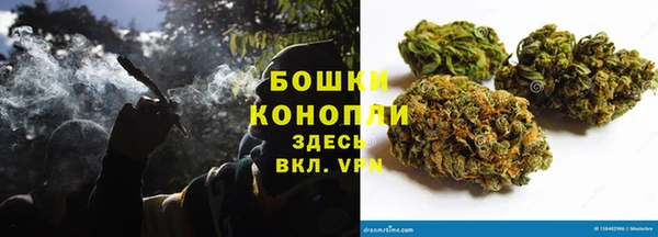прущие грибы Горнозаводск
