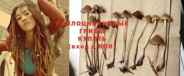 прущие грибы Горнозаводск