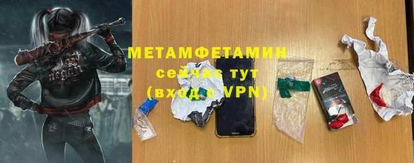 прущие грибы Горнозаводск