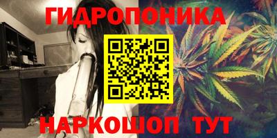 трава Заводоуковск