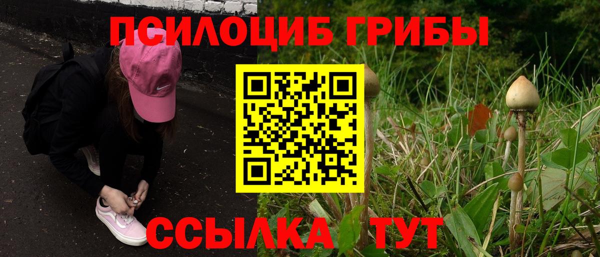 Галлюциногенные грибы мухоморы  Нурлат  Галлюциногенные грибы мицелий 