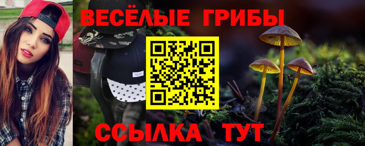Псилоцибиновые грибы GOLDEN TEACHER Нурлат