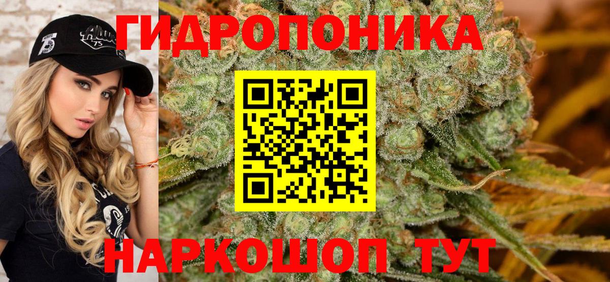 Марихуана конопля Нурлат